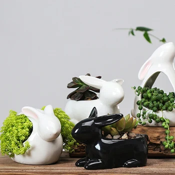 Iepure De Desene Animate Ghiveci De Flori Ceramic Plante Suculente Vase Tabel Mini Desktop Verde Plantat Bonsai Mic Vas Cu Flori Decor Acasă