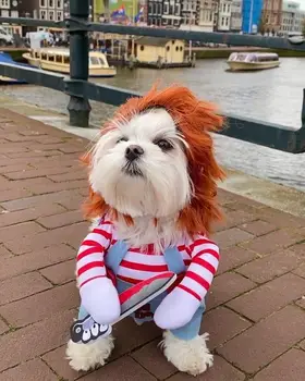 De Halloween, Crăciun, Amuzant animale de Companie Câine Haine Costume de Cuțit Ucigaș Papusa Mici Mijlocii Câine Rândul său Amuzant Pisica animale de Companie Haine