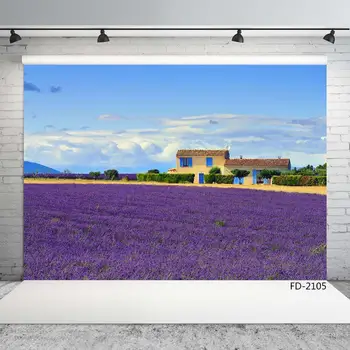 Purple Lavender Sky House Vinil Foto Fundal Pitoresc Calculator Tipărite Fundaluri de Fotografie, cu Imagini Foto pentru Nunta
