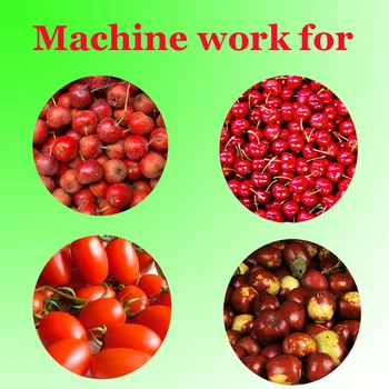Economic data jujube mașină de sortare/păducel cherry clasa a mașinii/minni dimensiunea de fructe mașină de clasificare