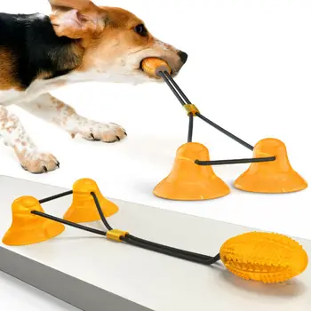 Nou Animal De Companie Câine Molar Musca Boden Tasse Jucărie Pentru Câini Minge Interaktive Welpe Saugnapf Curat