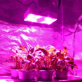 CF Crească 300W COB LED-uri Cresc Light Spectru Complet de Interior cu efect de Seră Hidroponică a Plantelor Creștere de Iluminat Înlocui OZN în Creștere Lampa
