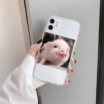 Drăguț Roz Porc Caz de Telefon Transparent pentru iPhone 11 12 mini pro XS MAX 8 7 6 6S Plus X 5S SE 2020 XR