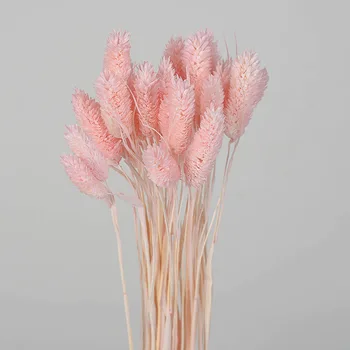 30PC /Set Naturale Gradient de Uscat Buchet de Flori de Coada de iepure, Iarbă de Paște Flori de Nunta, Cadou de Ziua Îndrăgostiților Decor Meserii Flori