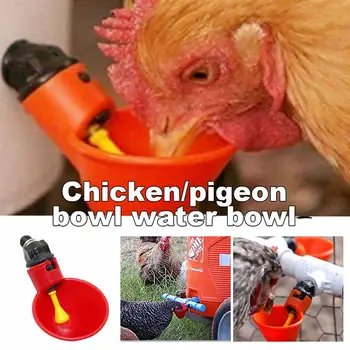 Păsări de Apă Potabilă Cupe Automat de Păsări de curte Waterer Plastic Bea Alimentator de Pasăre Pui de Prepelita Efectiv de Reproducție Echipamente