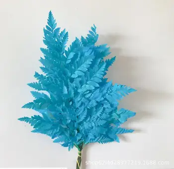 10buc 20-30cm Conservate Pelin Feriga Ramură Pentru Ambarcațiuni de Flori Material Accesoriu de Decor aranjamente florale DIY