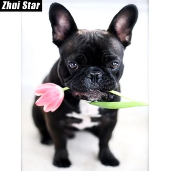 Zhui Star Full Piața Diamant 5D DIY Diamant Pictura 
