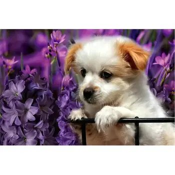 ZOOYA DIY Diamant Broderie câine și violet flori de Diamant Pictura cruciulițe kituri de Diamant imagine Mozaic Decor Acasă