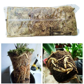 12L Materie Organică Terariu Sphagnum Moss Suculente Culturile de Cultivare