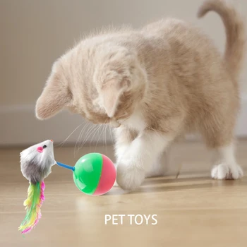 28pcs/set Interactiv Pisica Molar Mesteca Musca Jucării animale de Companie Pisoi Tunel Teaser Rod Jucării Pene Stick Jucărie Consumabile pentru animale de Companie Pisica Accesoriu
