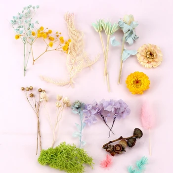 1 Cutie de Flori Uscate la UV Rășină Decorative de Flori Naturale Autocolante 3D Uscat Frumusete Decal Epoxidice Mucegai DIY de Umplere a Face Meșteșug
