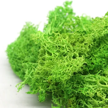 Artificiale Planta Verde Mușchi, Iarbă Artificială De Înaltă Calitate Planta Verde Nemuritoare Flori False Acasă Living Decorul Camerei Moss Iarba