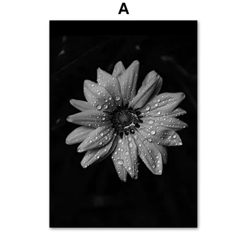 Flori negru Poster Trandafir Crin Crizantema de Perete de Arta Minimalist Eleganta Panza Pictura Imprimare Imagini pentru Living Decorul Camerei