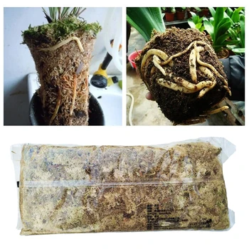 12L Materie Organică Terariu Sphagnum Moss Suculente Culturile de Cultivare