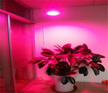 270w plante cresc de lumină roșu albastru portocaliu pentru interior cu efect de Seră și Sistem Hidroponic transport gratuit pentru Rusia