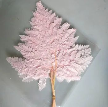 10buc 20-30cm Conservate Pelin Feriga Ramură Pentru Ambarcațiuni de Flori Material Accesoriu de Decor aranjamente florale DIY