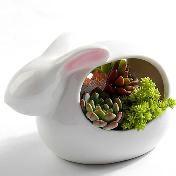 Iepure De Desene Animate Ghiveci De Flori Ceramic Plante Suculente Vase Tabel Mini Desktop Verde Plantat Bonsai Mic Vas Cu Flori Decor Acasă