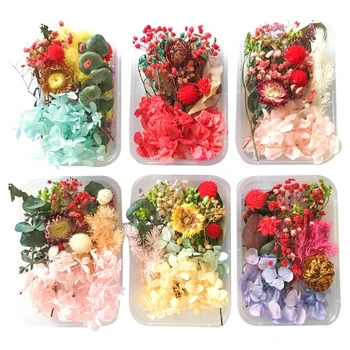 1 Cutie de Flori Uscate la UV Rășină Decorative de Flori Naturale Autocolante 3D Uscat Frumusete Decal Epoxidice Mucegai DIY de Umplere a Face Meșteșug