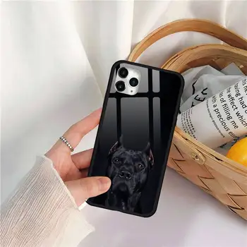 Negru Teckel Câine Doberman Caz Telefon din sticla Temperata Pentru iphone 11 12 PRO MAX X XS XR 5C 6 6S 7 8 plus