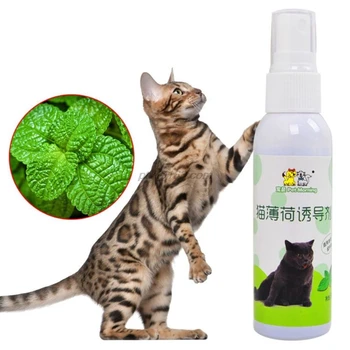 Cat Catnip Formare Pentru Animale De Companie Jucărie Naturale Pisica Sanatoasa Menta Amuzant Zero Spray