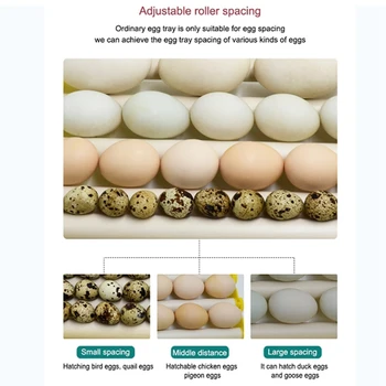 Tava Cu Role Automate Rândul Său, Ouă De Rață Pui De Prepelita De Gâscă, Pasăre, Ouă De Păsări De Curte Tava Ferma De Incubație Instrumente Consumabile