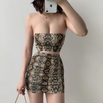 2 Bucăți Set Sexy de Vara pentru Femei de Moda Set de sex Feminin Topuri leopard de Imprimare Bodycon Clubwear