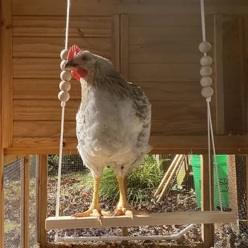 Pui Leagăn Jucărie pentru Coop Naturale în condiții de Siguranță Accesorii din Lemn Mari Durabil Biban Scara pentru Păsări de curte Rula Găini Cocoș