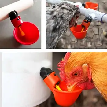 Păsări de Apă Potabilă Cupe Automat de Păsări de curte Waterer Plastic Bea Alimentator de Pasăre Pui de Prepelita Efectiv de Reproducție Echipamente