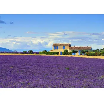 Purple Lavender Sky House Vinil Foto Fundal Pitoresc Calculator Tipărite Fundaluri de Fotografie, cu Imagini Foto pentru Nunta