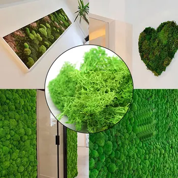 Artificiale Planta Verde Mușchi, Iarbă Artificială De Înaltă Calitate Planta Verde Nemuritoare Flori False Acasă Living Decorul Camerei Moss Iarba