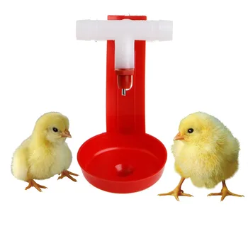 Păsări De Apă Potabilă Cupe Agățat De Pui De Găină Automată Păsări Bautor