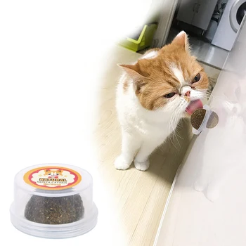 Polygonum Pisici Mutian Catnip Silvervine Cat Dintii De Curățare Naturale Catnip Jucării Pentru Pisoi Comestibile Tratarea Pisica Produse Sănătoase